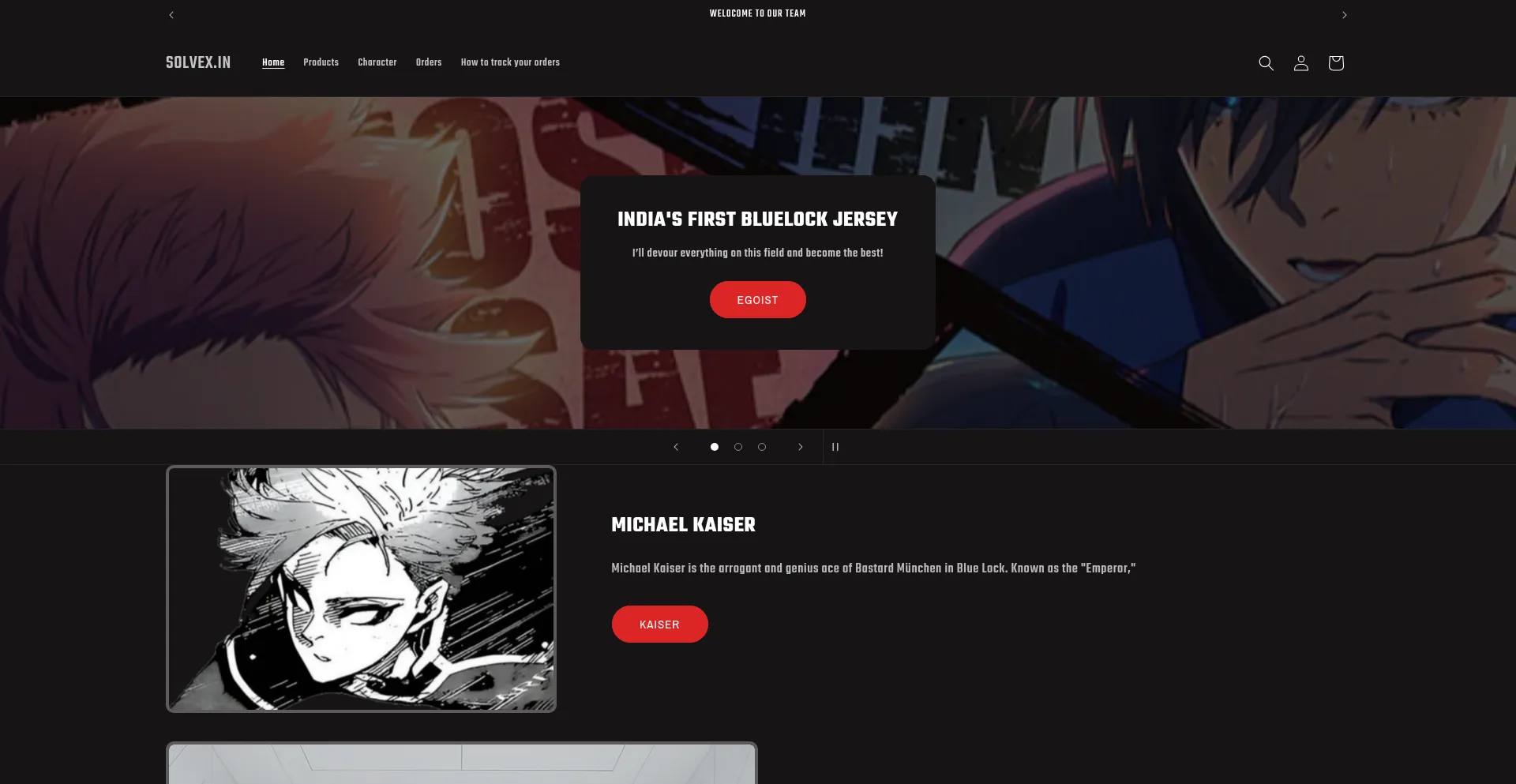 Website screenshot of Solvexindia.online