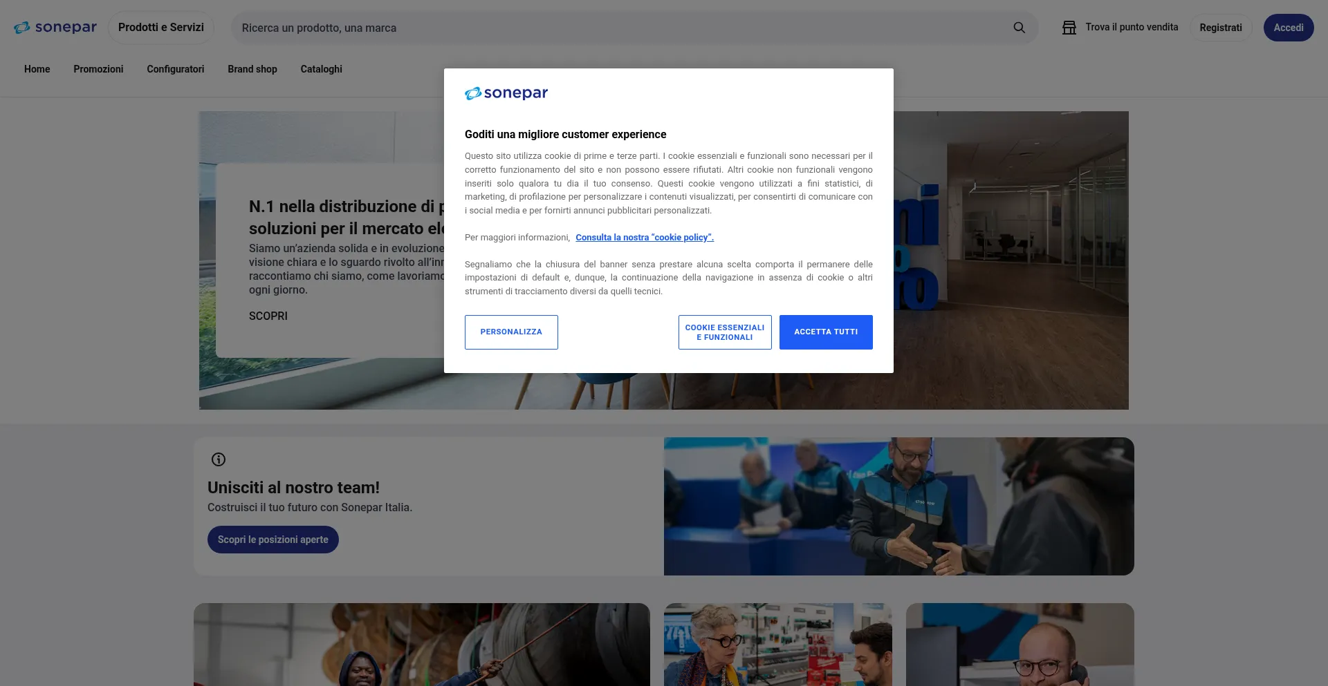 Website screenshot of Sonepar.it