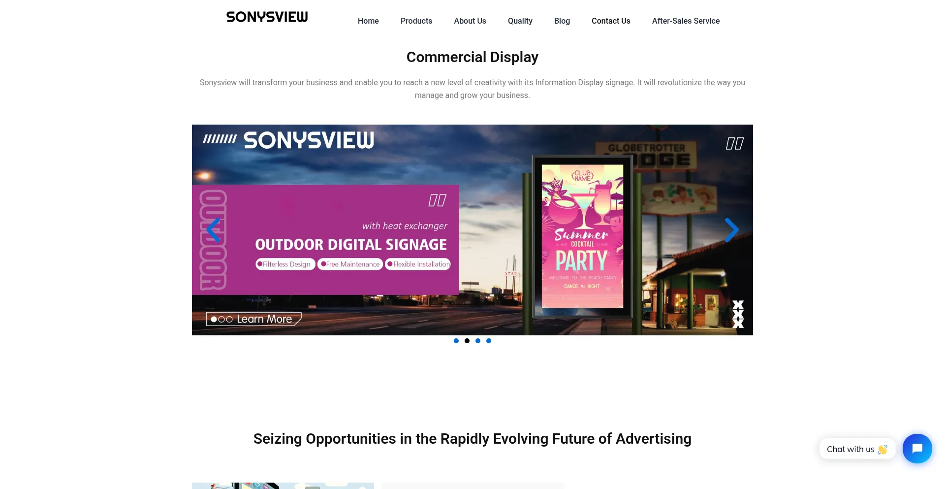 Website screenshot of Sonysview.com