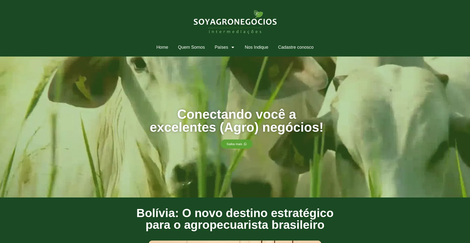 Soyagronegocios.com.br