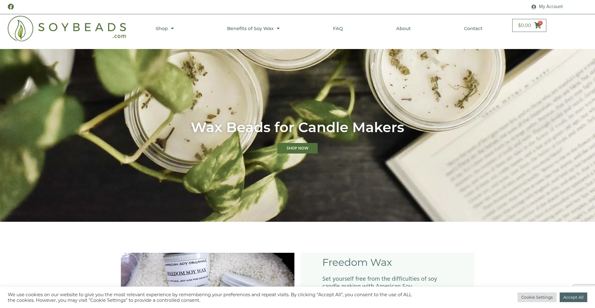 Website screenshot of Soybeads.com