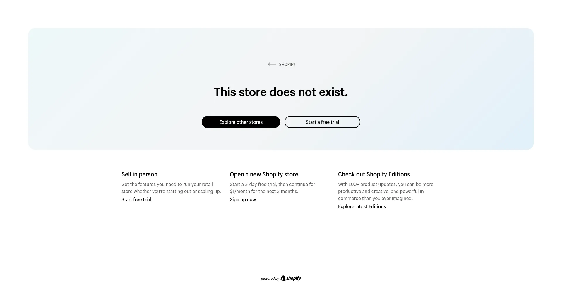 Website screenshot of Speedbricks.store