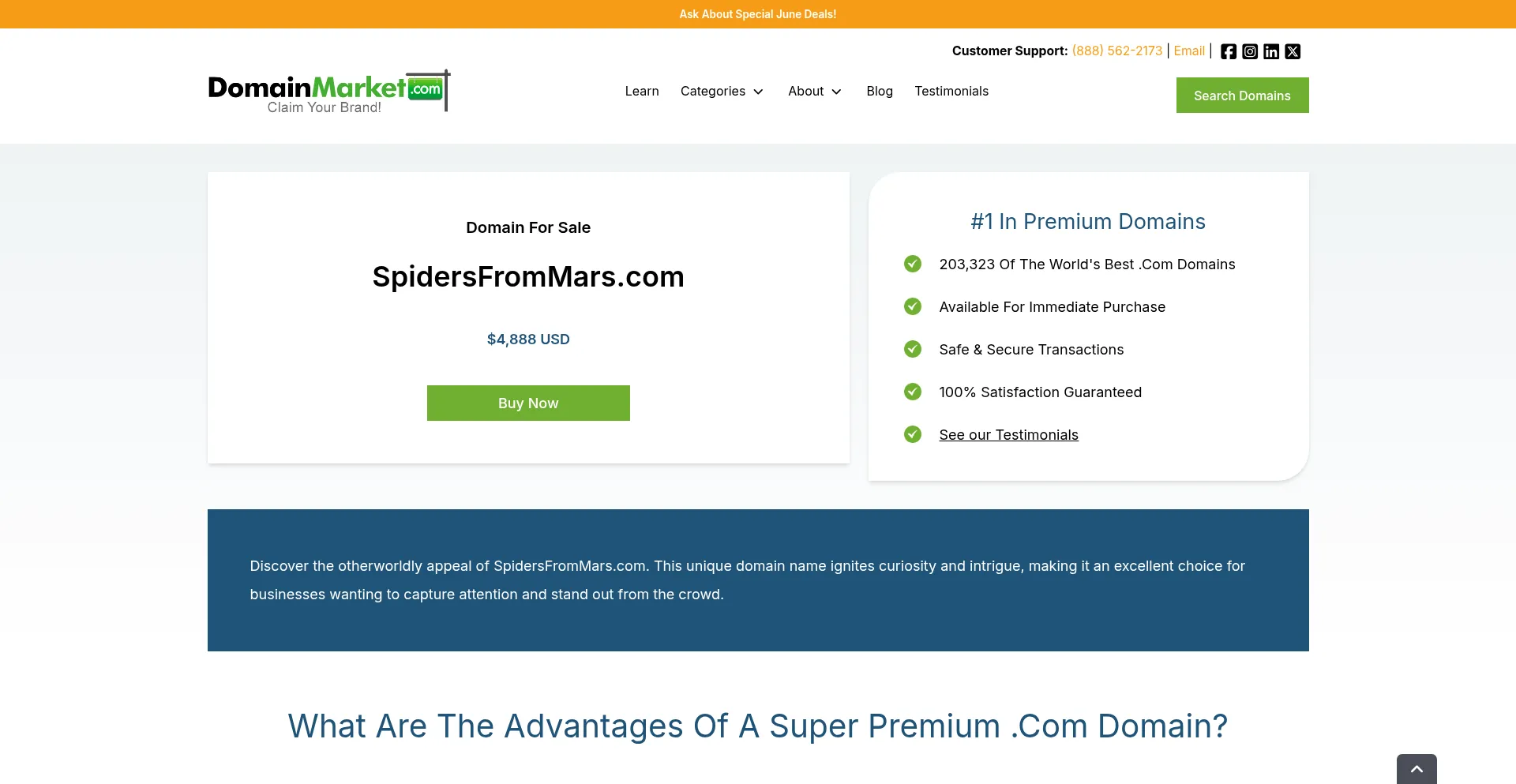 Website screenshot of Spidersfrommars.com
