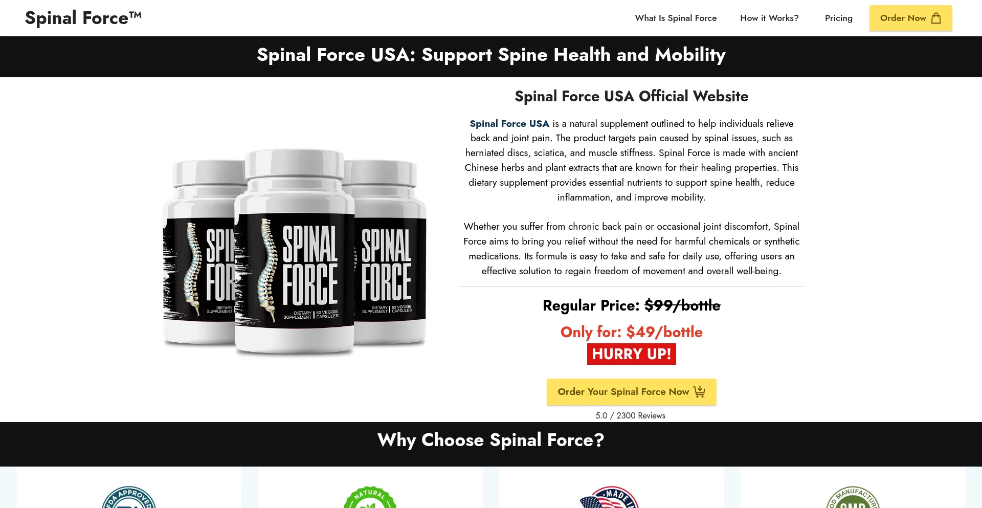 Website screenshot of Spinal--force.com