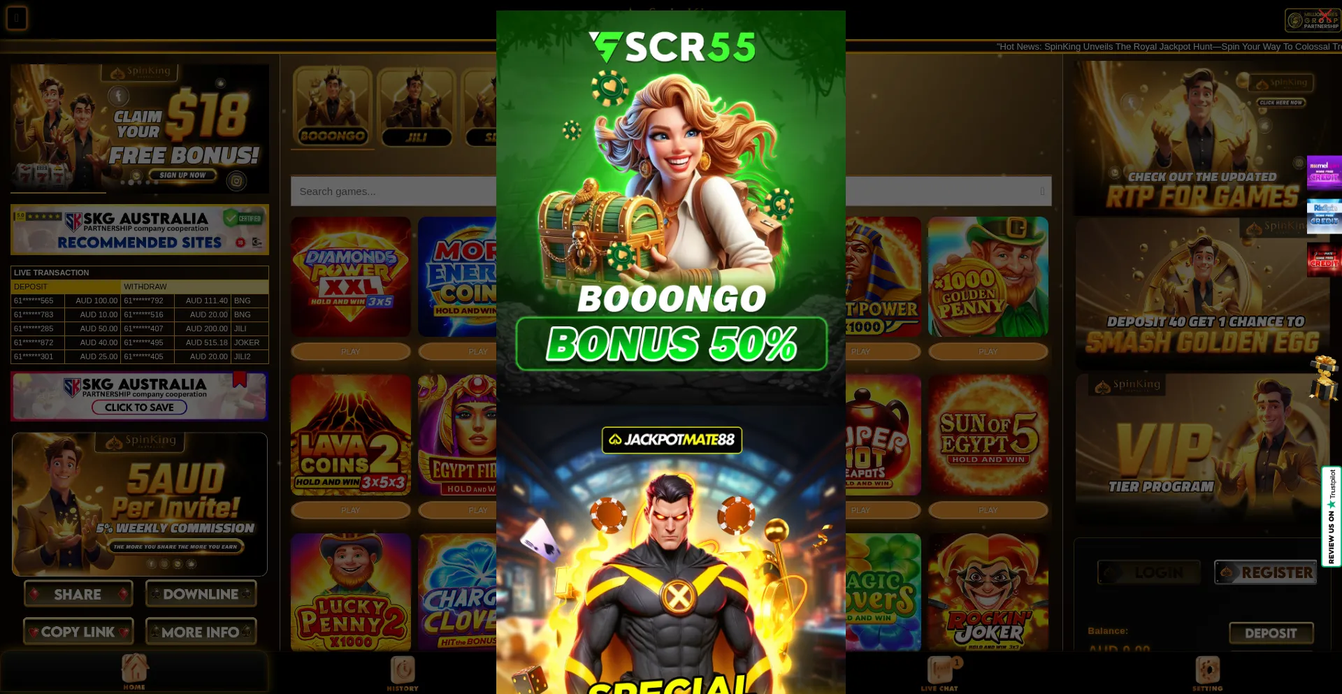 Spinking.net