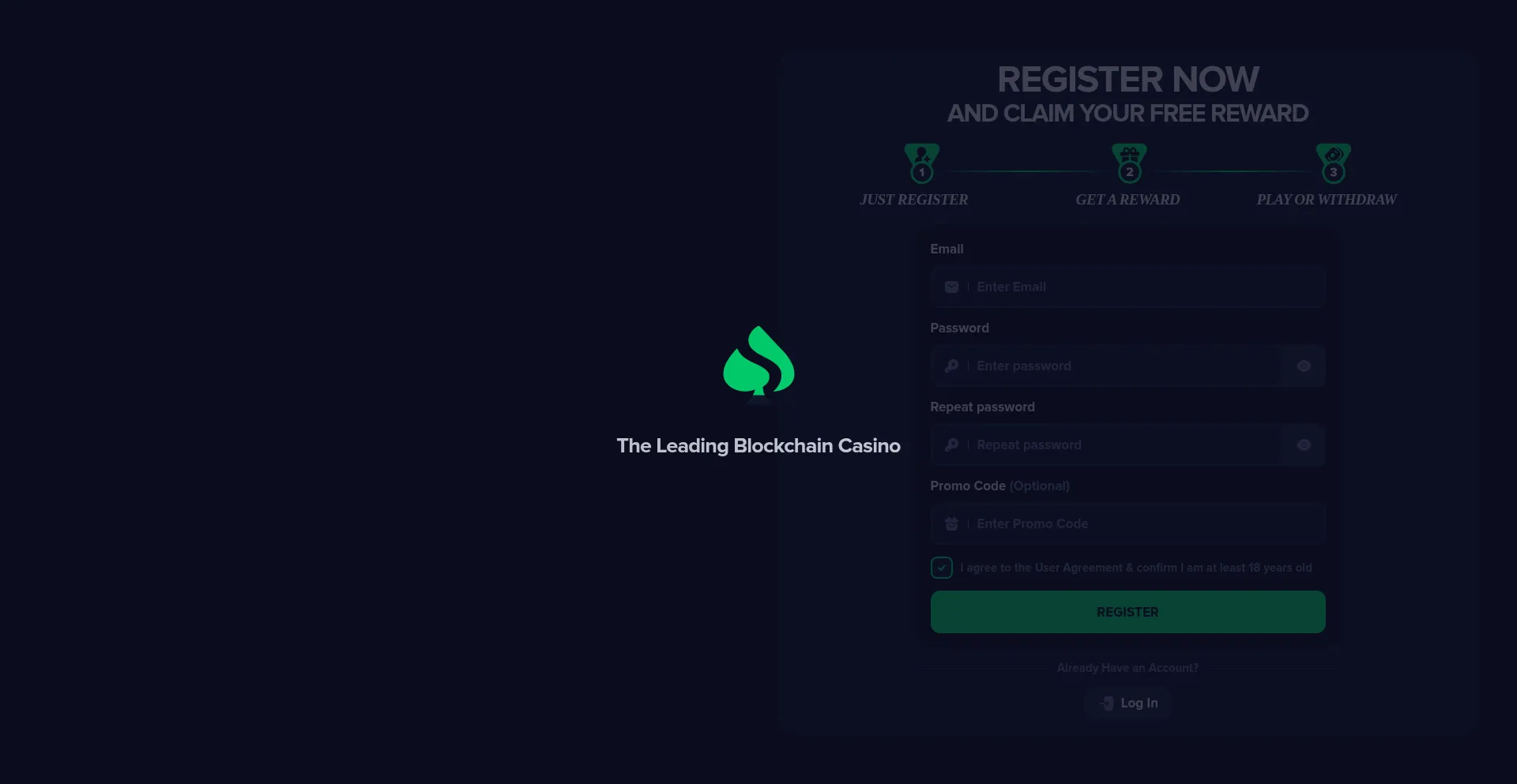 Website screenshot of Spinrodeo.us