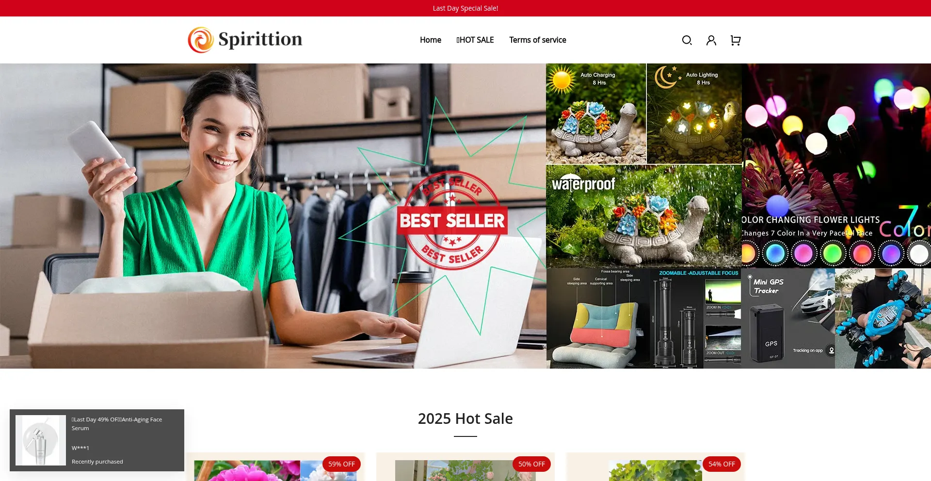 Website screenshot of Spirittion.com