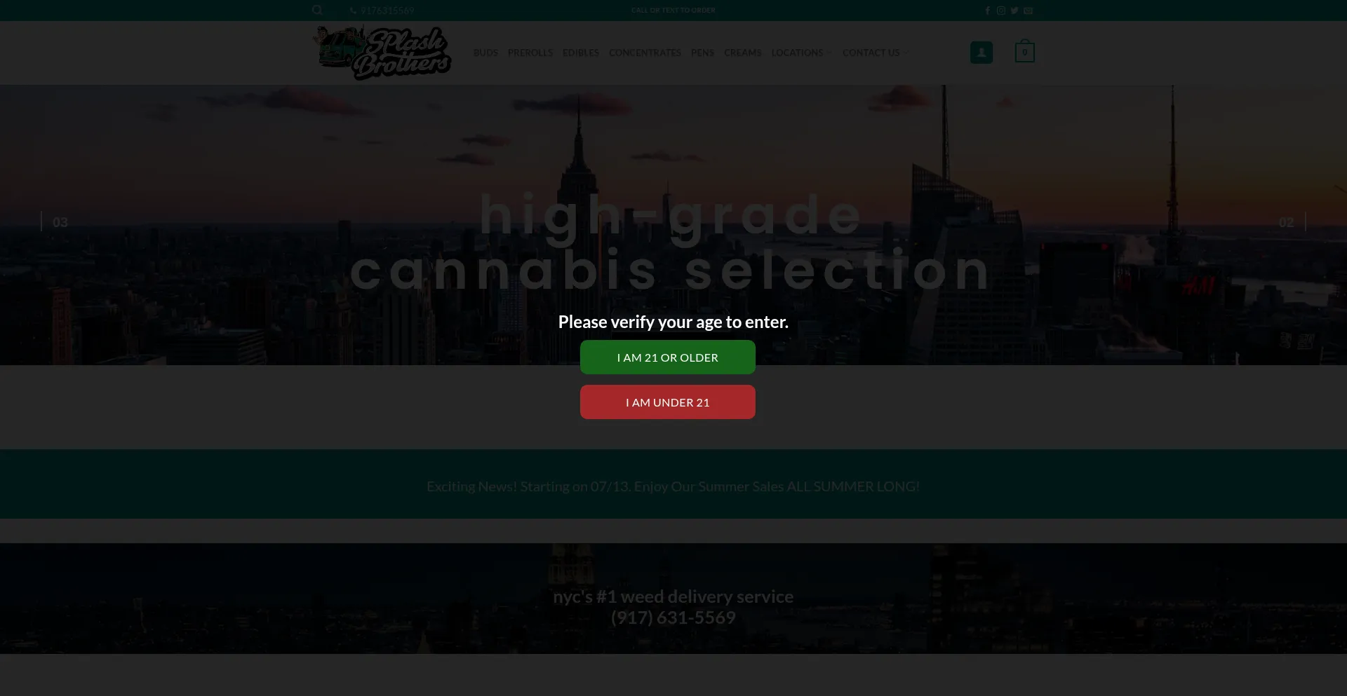 Website screenshot of Splashbrothersnyc.com