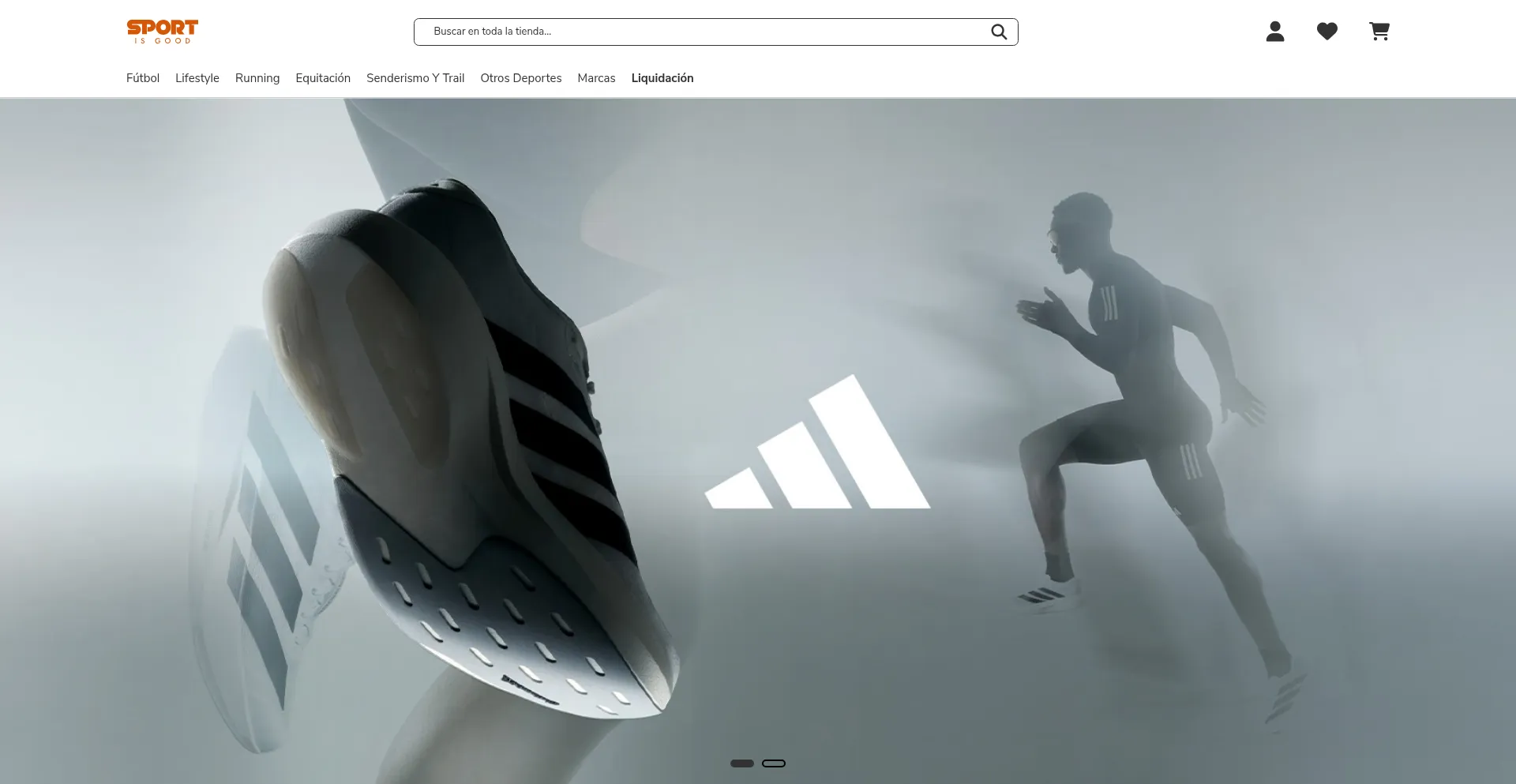 Website screenshot of Sportisgood.es