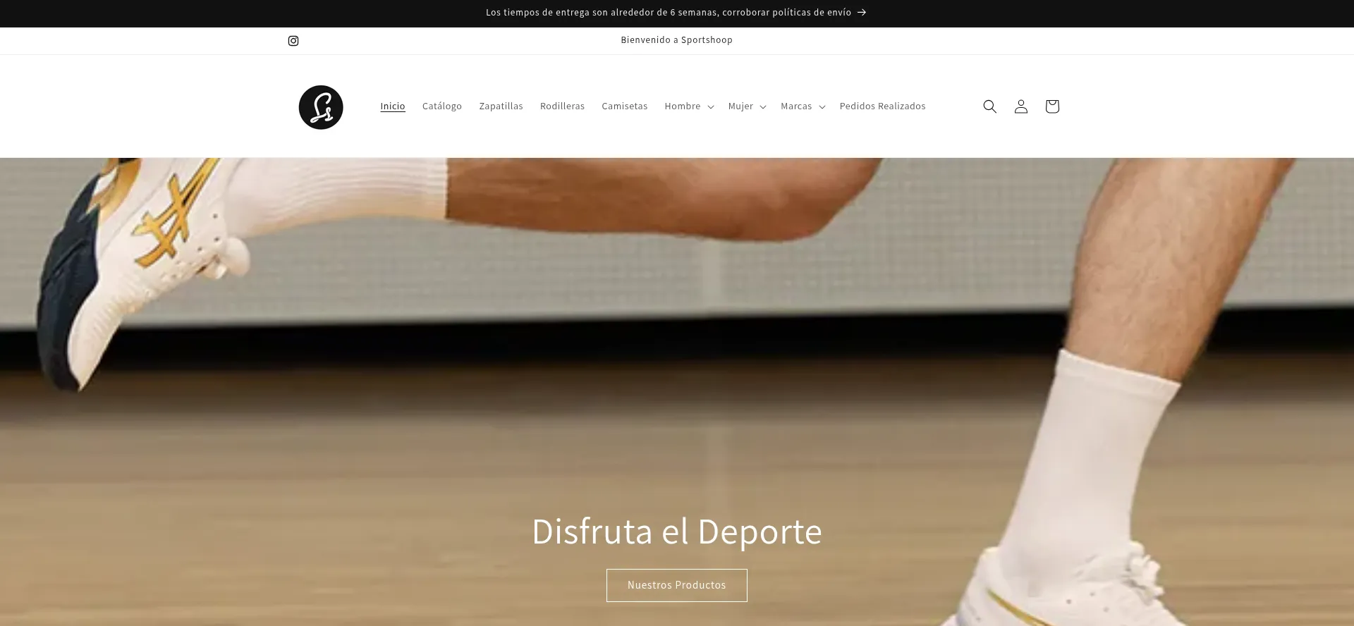 Website screenshot of Sportshoop.cl