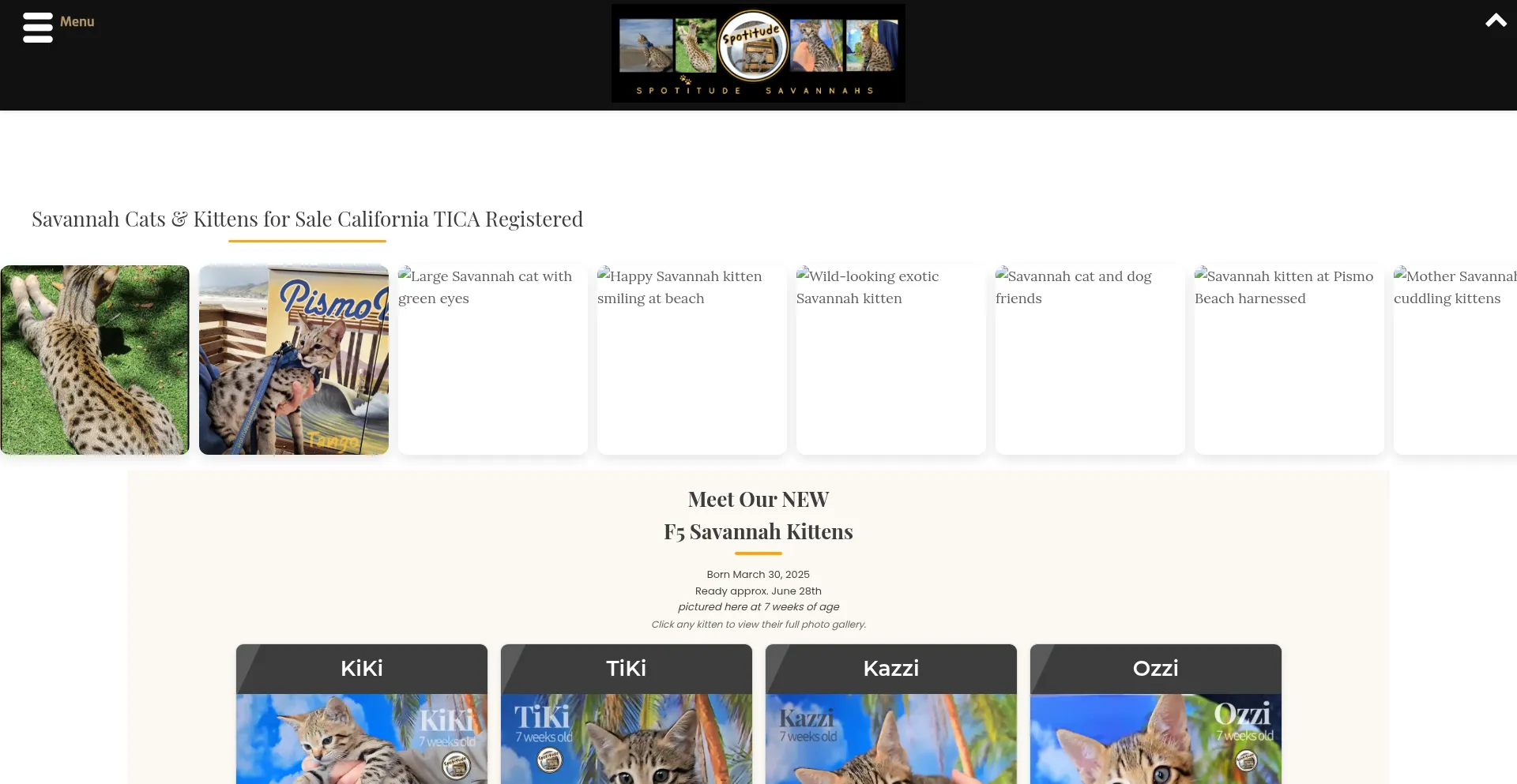 Website screenshot of Spotitudesavannahs.com