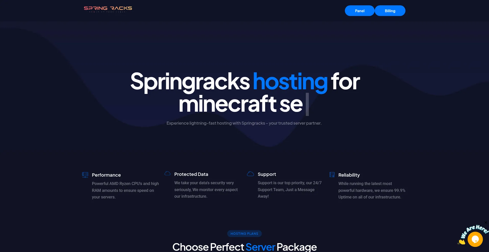 Website screenshot of Springracks.com