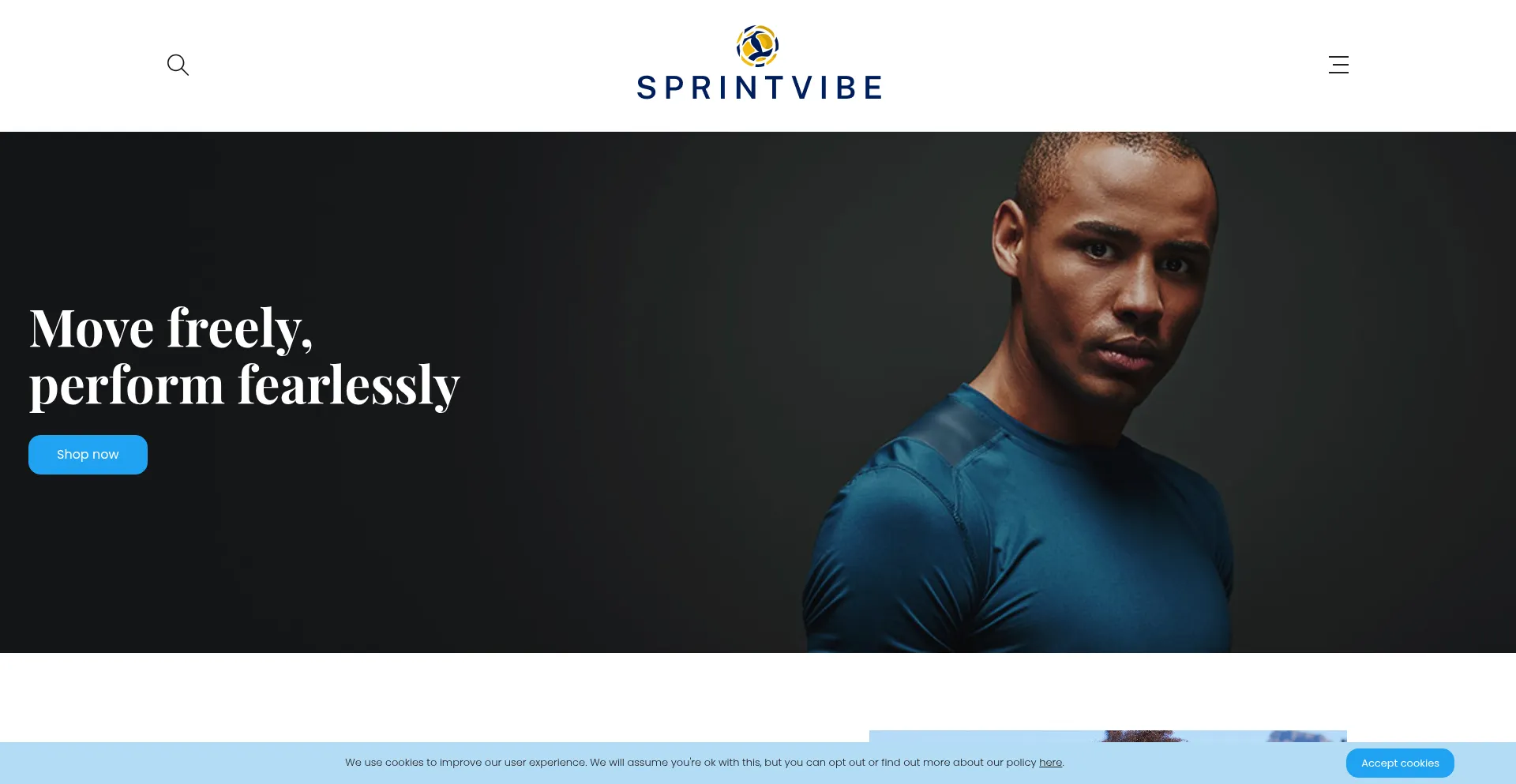 Sprintvibe.com