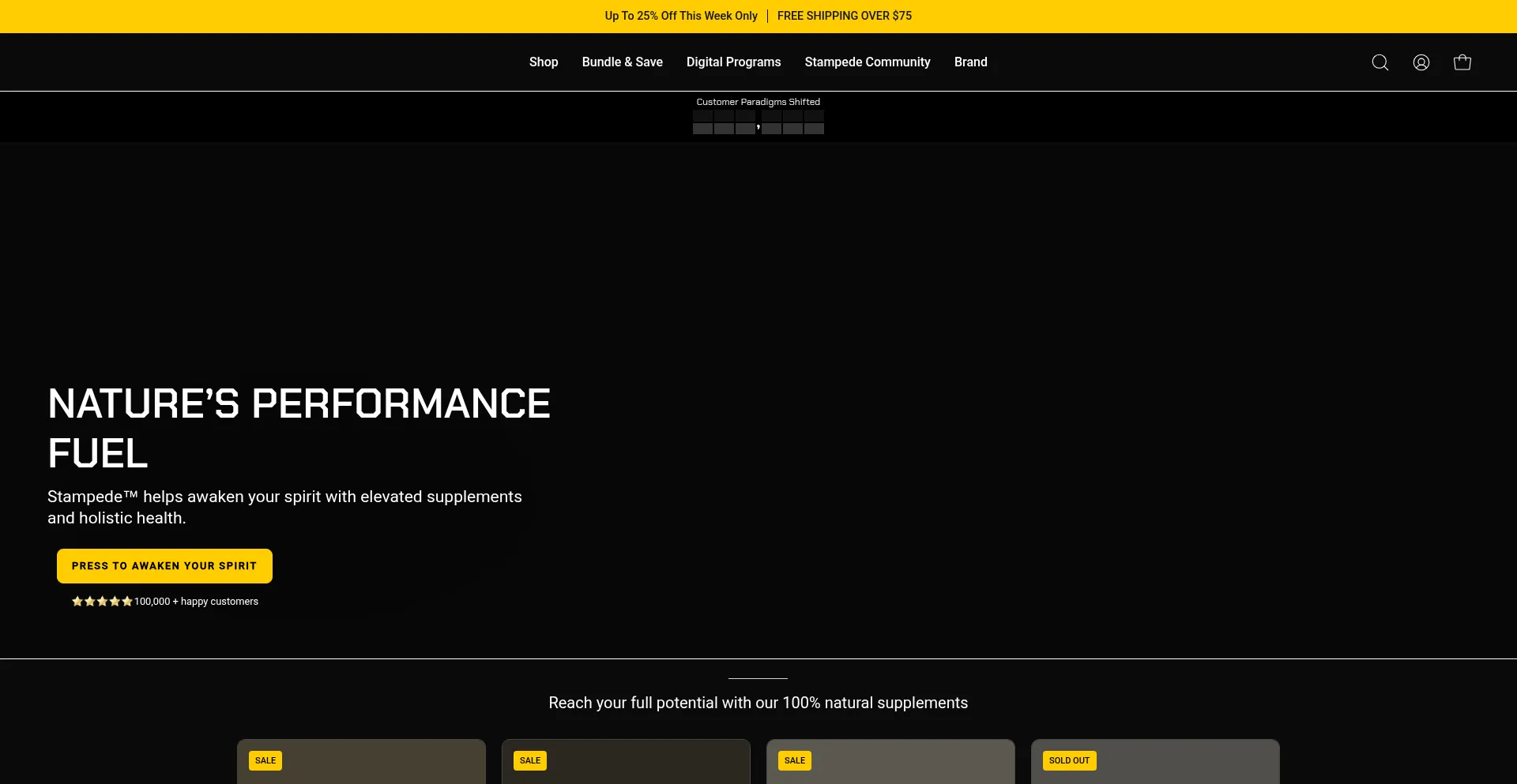 Website screenshot of Stampedenetwork.com
