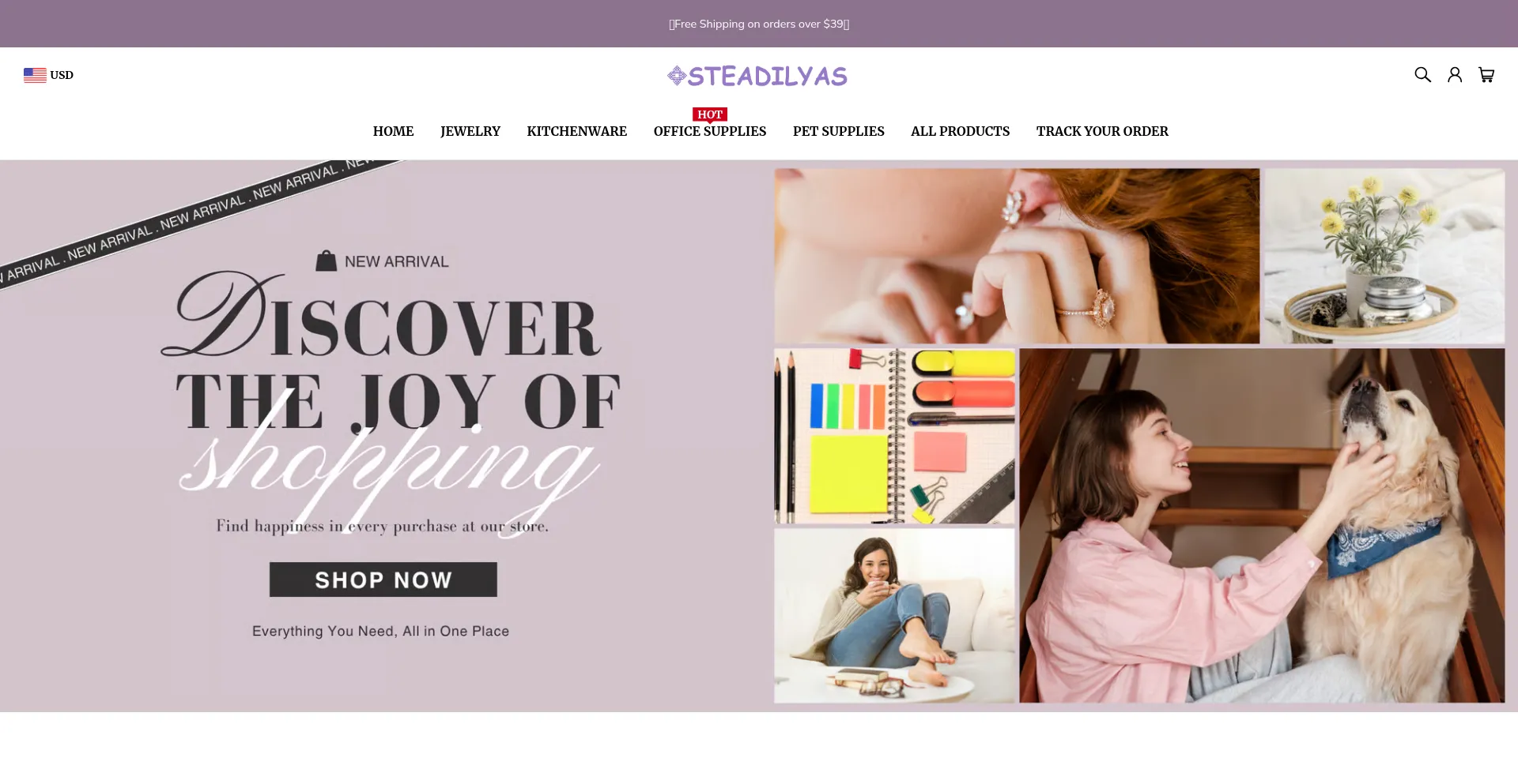 Website screenshot of Steadilyas.com