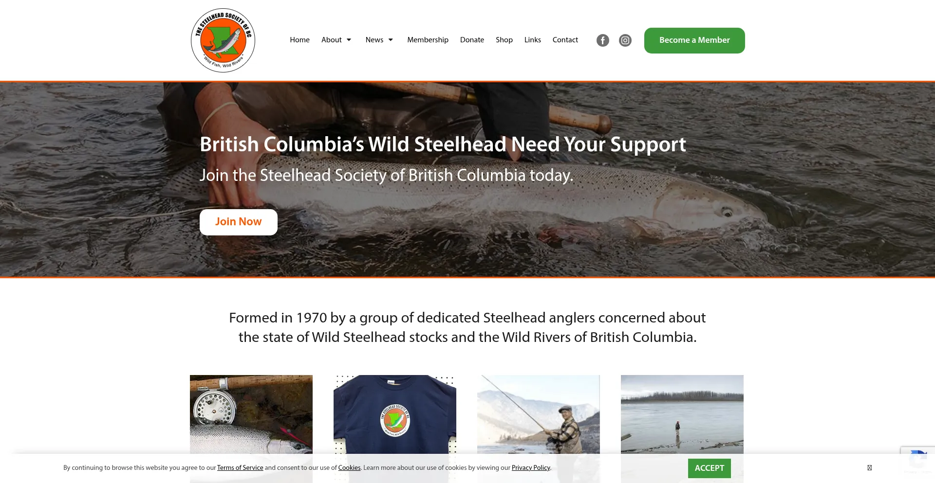 Steelheadsociety.org
