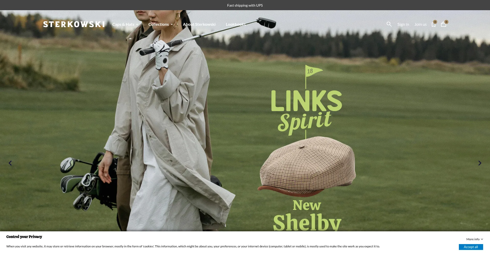 Website screenshot of Sterkowski.com