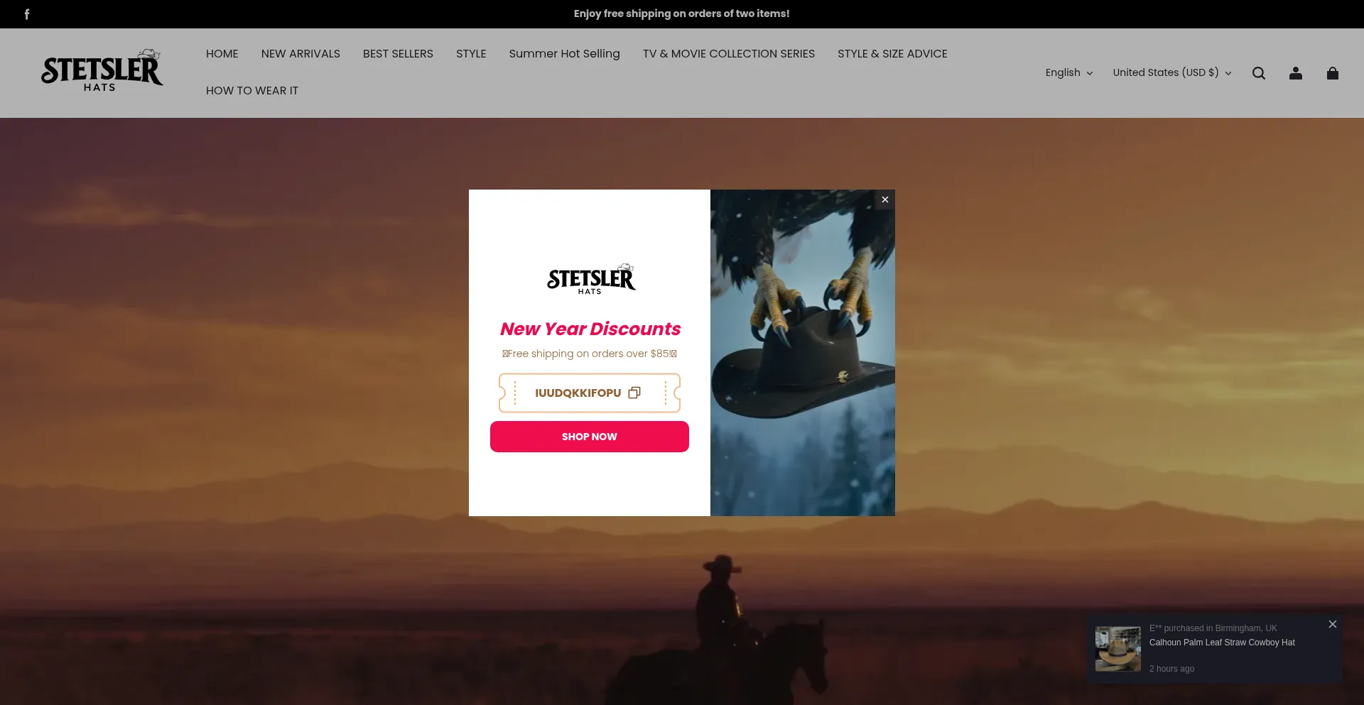 Stetslerhats.com