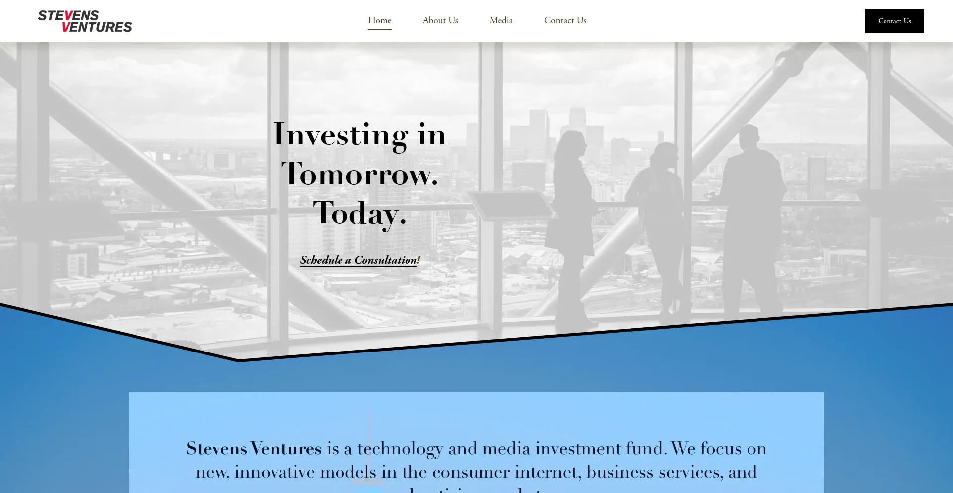 Website screenshot of Stevensventures.com
