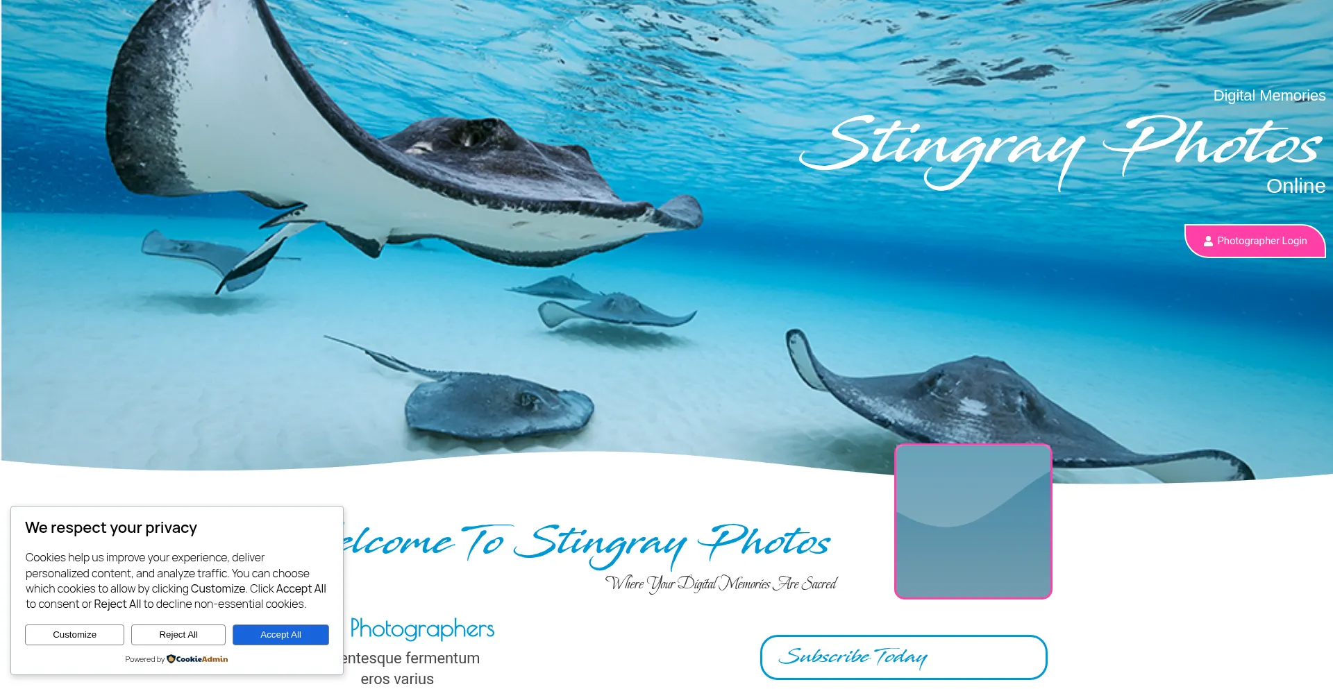 Stingrayphotos.online