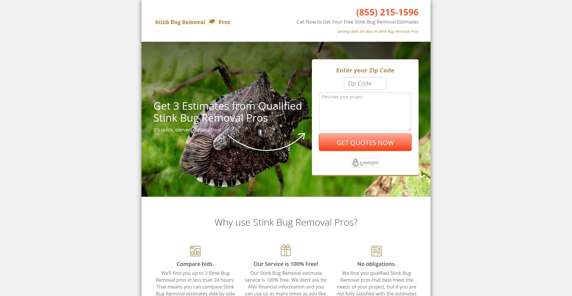 Stinkbugremovalpros.com
