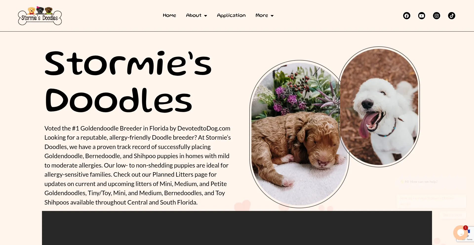 Website screenshot of Stormiesdoodles.com
