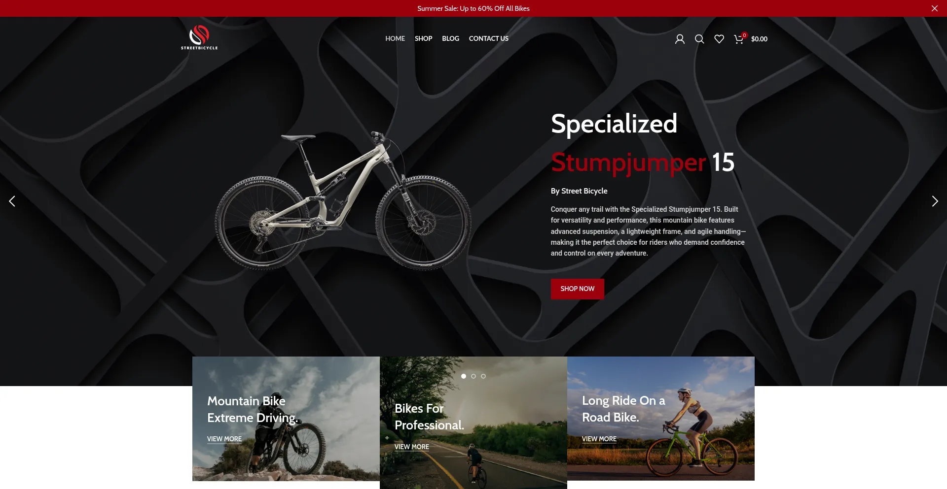 Website screenshot of Streetbicycle.store