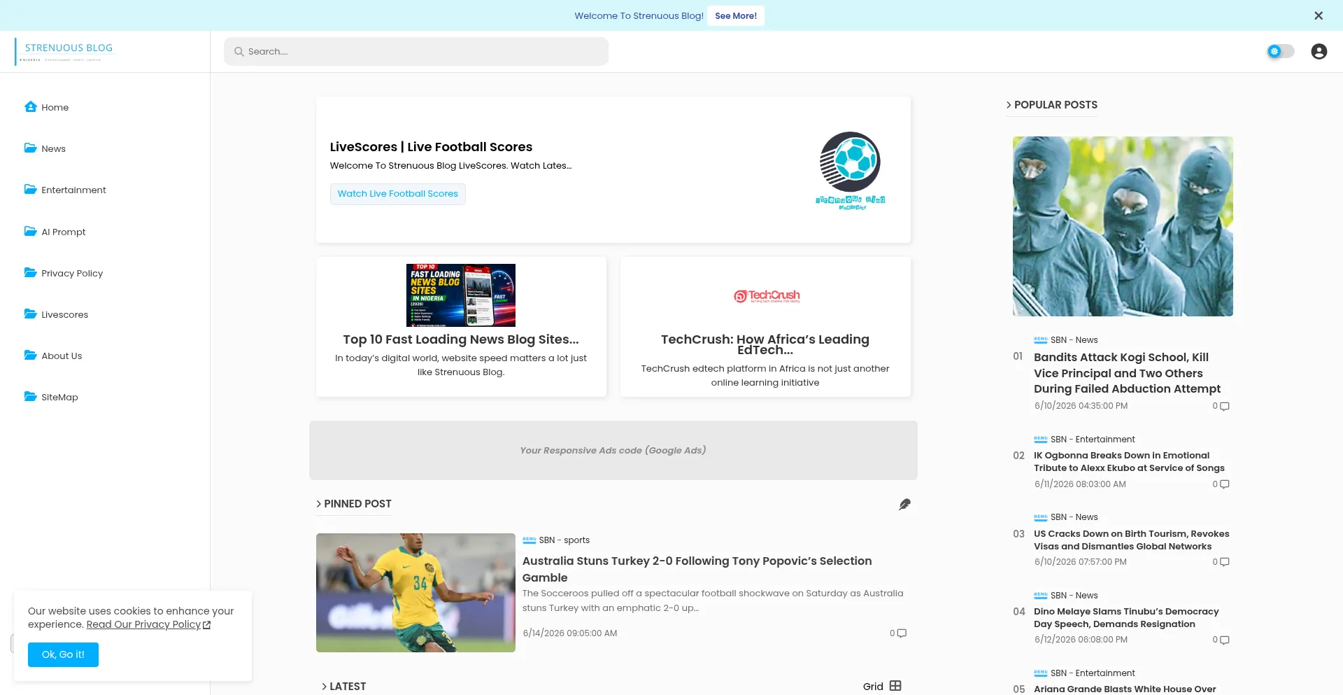 Strenuousblogs.com