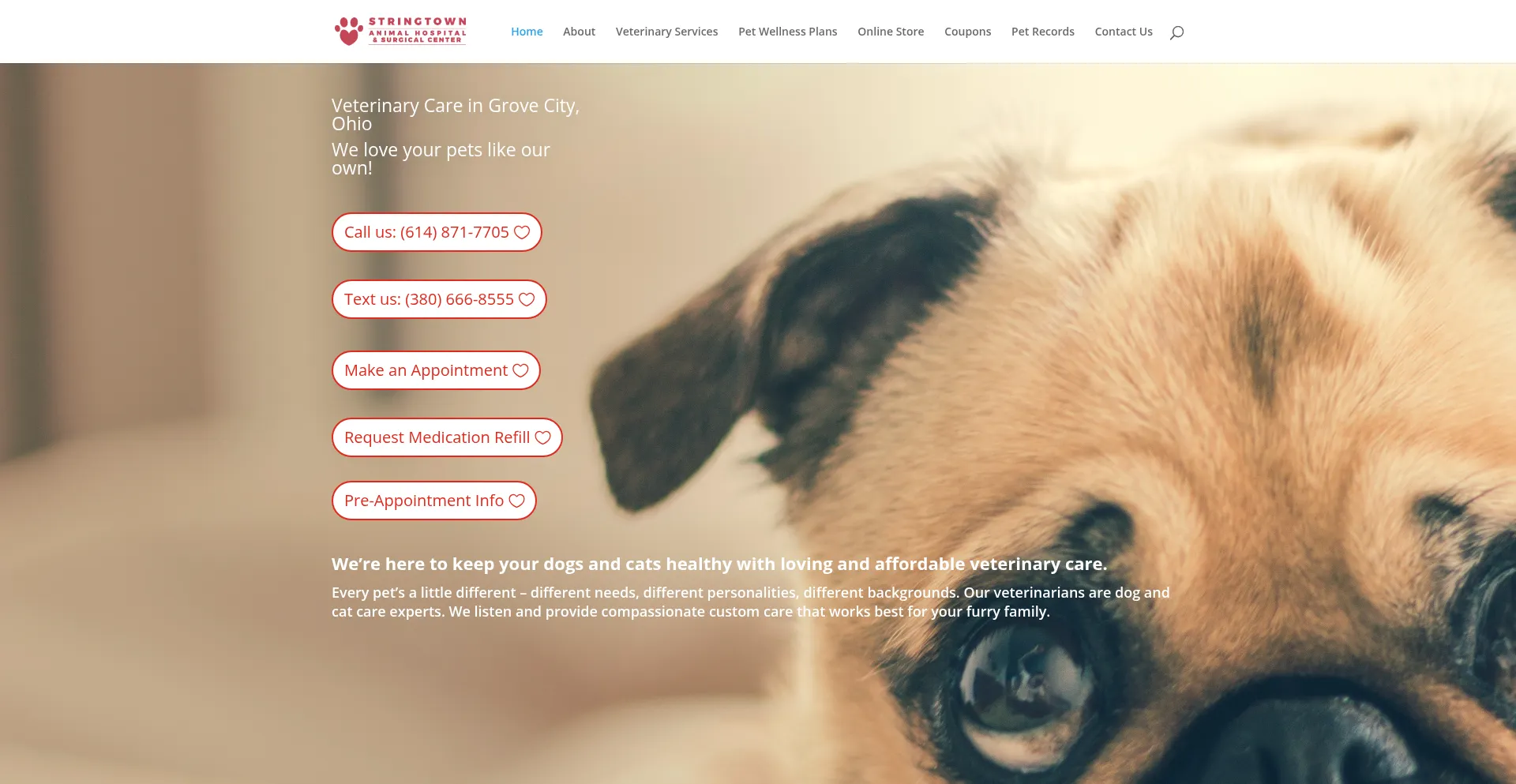 Website screenshot of Stringtownanimalhospital.com