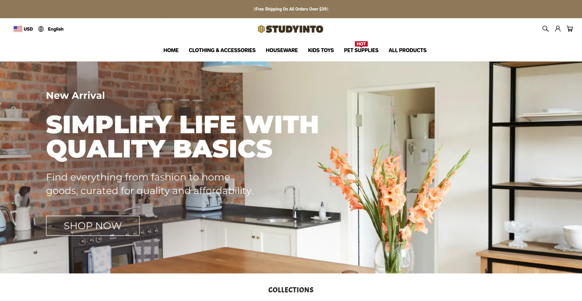 Studyinto.com