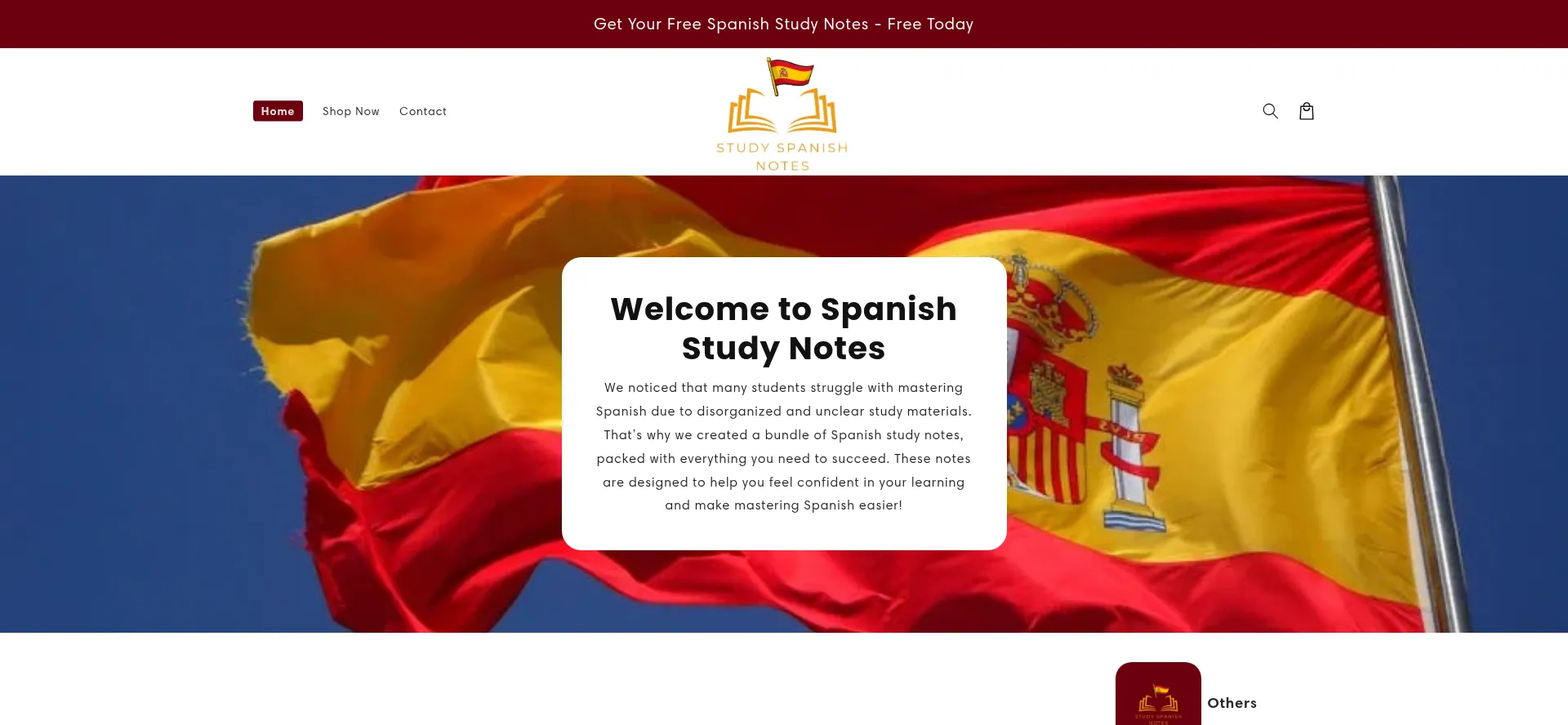 Studyspanishnotes.com