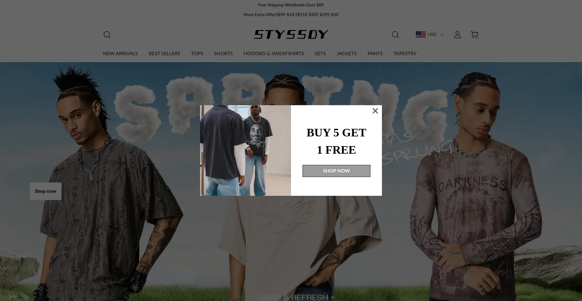 Styssdy.com