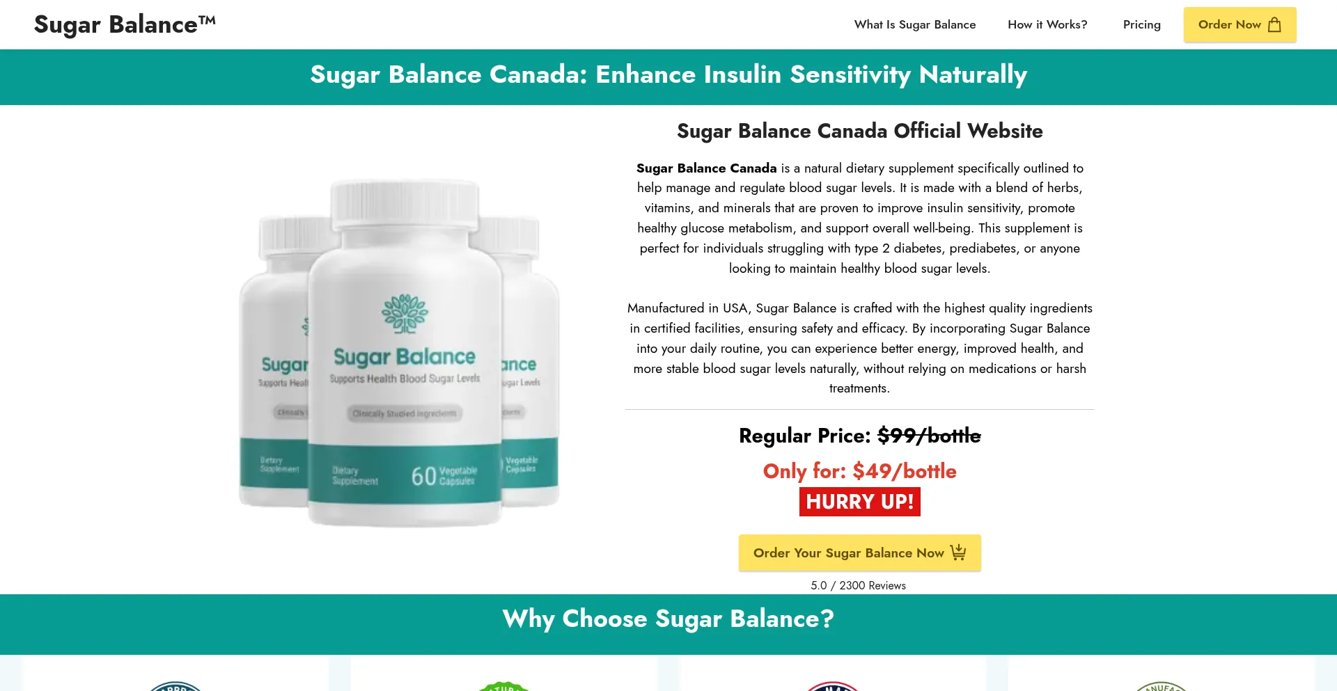 Website screenshot of Sugar-balance.ca