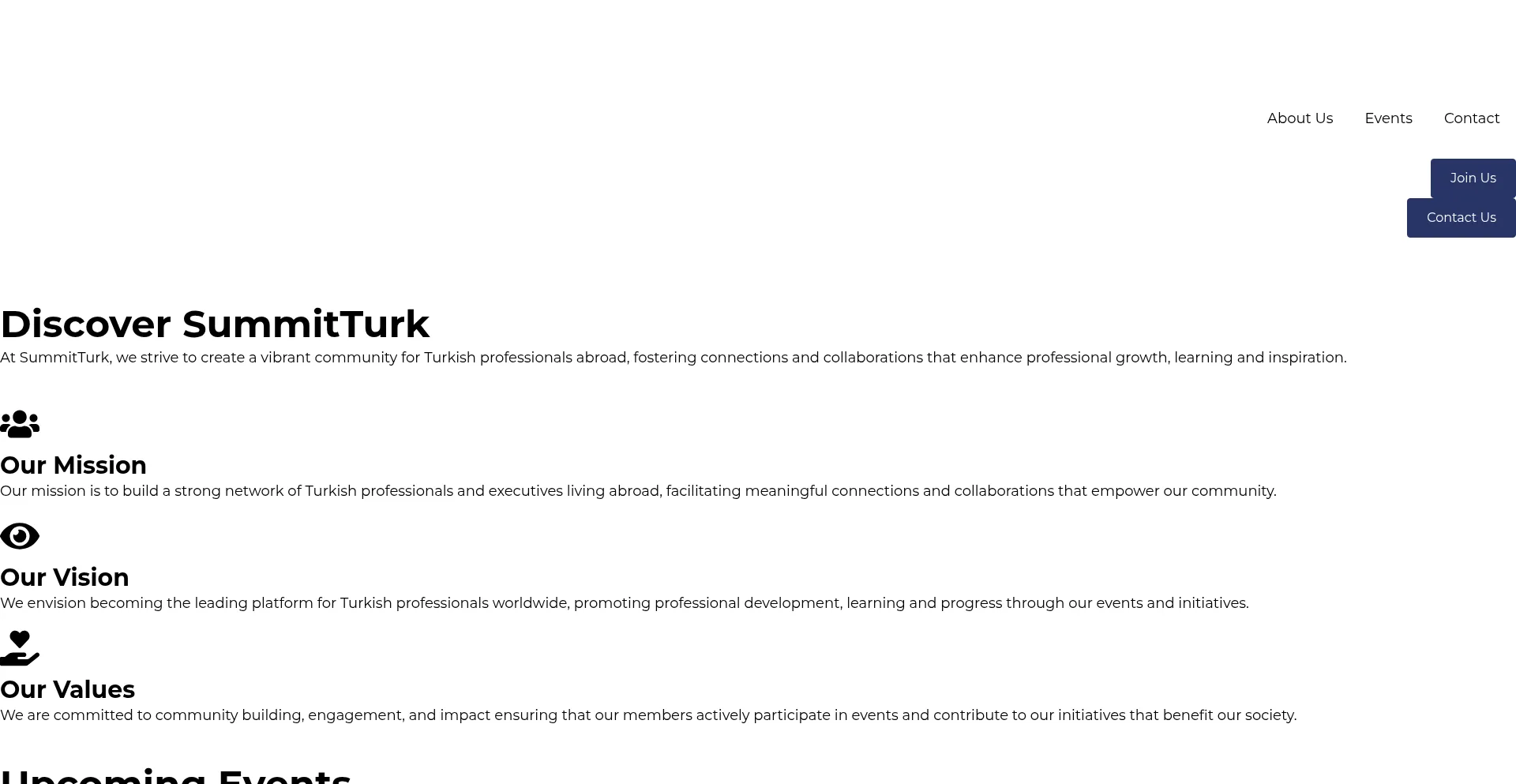 Website screenshot of Summitturk.com