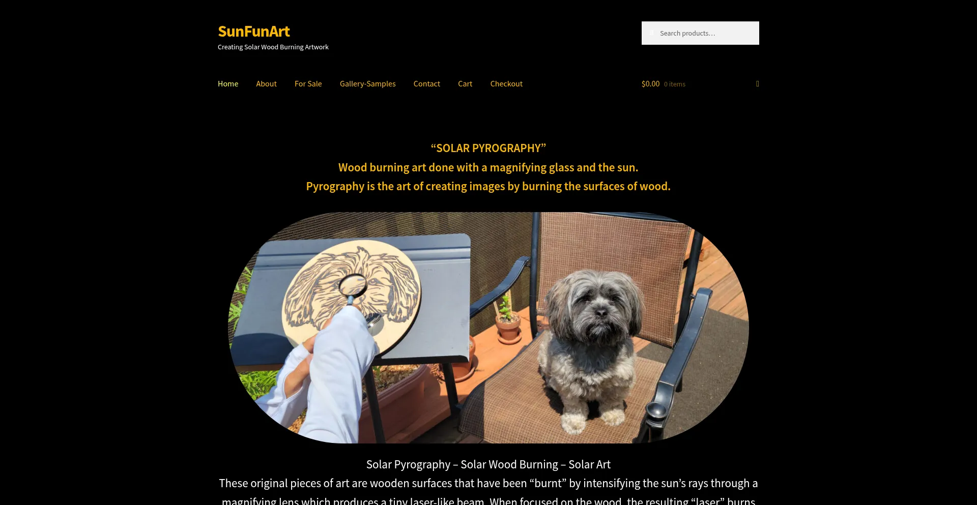 Website screenshot of Sunfunart.com