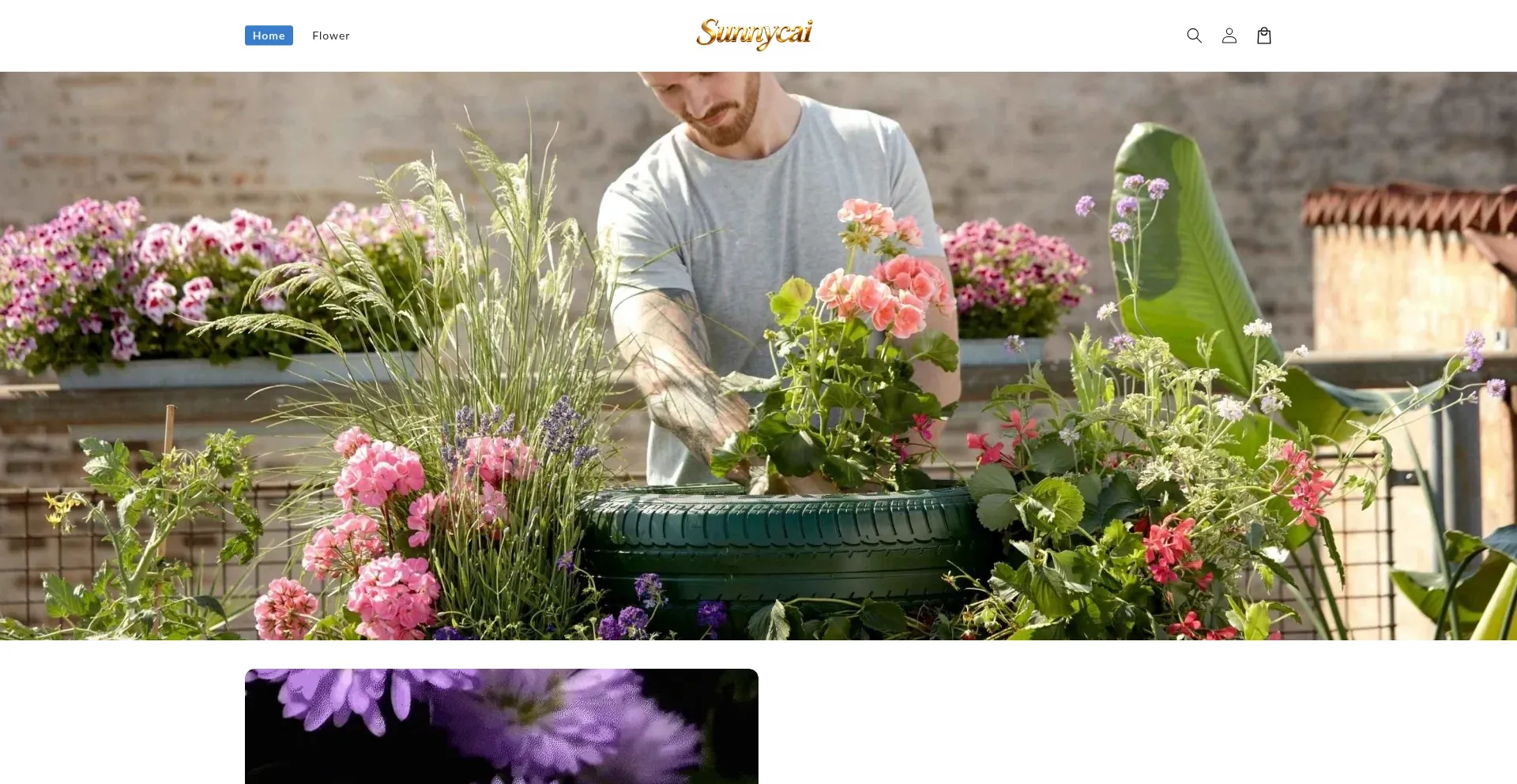 Sunnycai.com