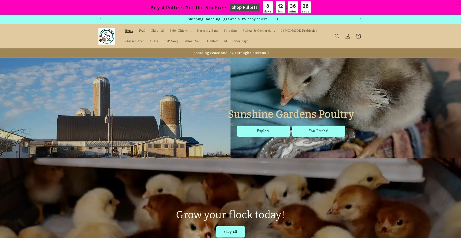 Sunshinegardenspoultry.com