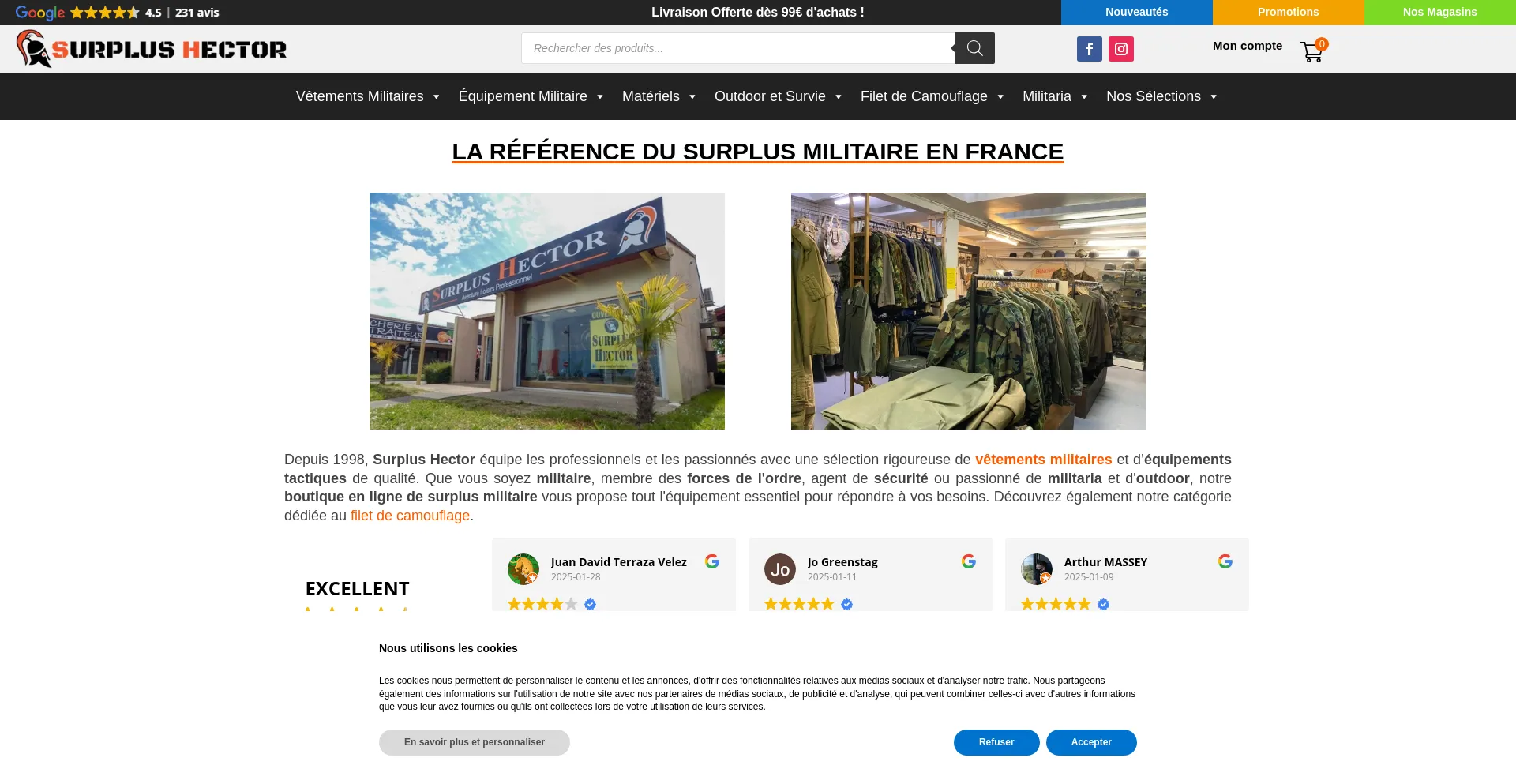 Website screenshot of Surplushector.fr