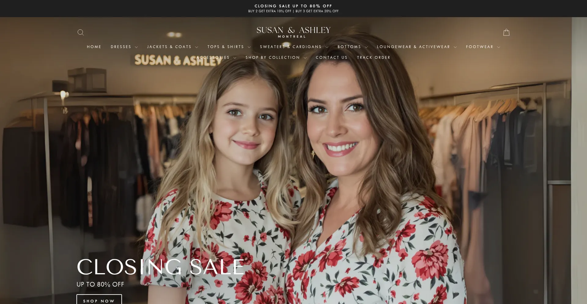 Website screenshot of Susan-ashley.com