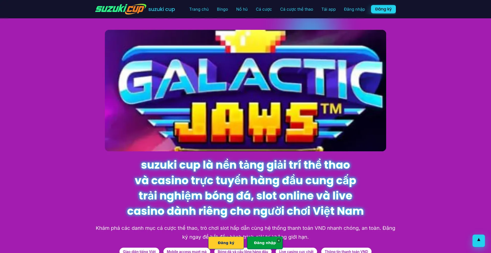 Suzukicup.com
