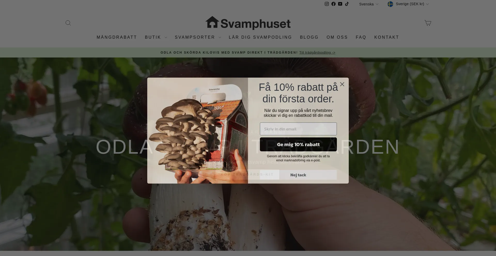 Website screenshot of Svamphuset.com