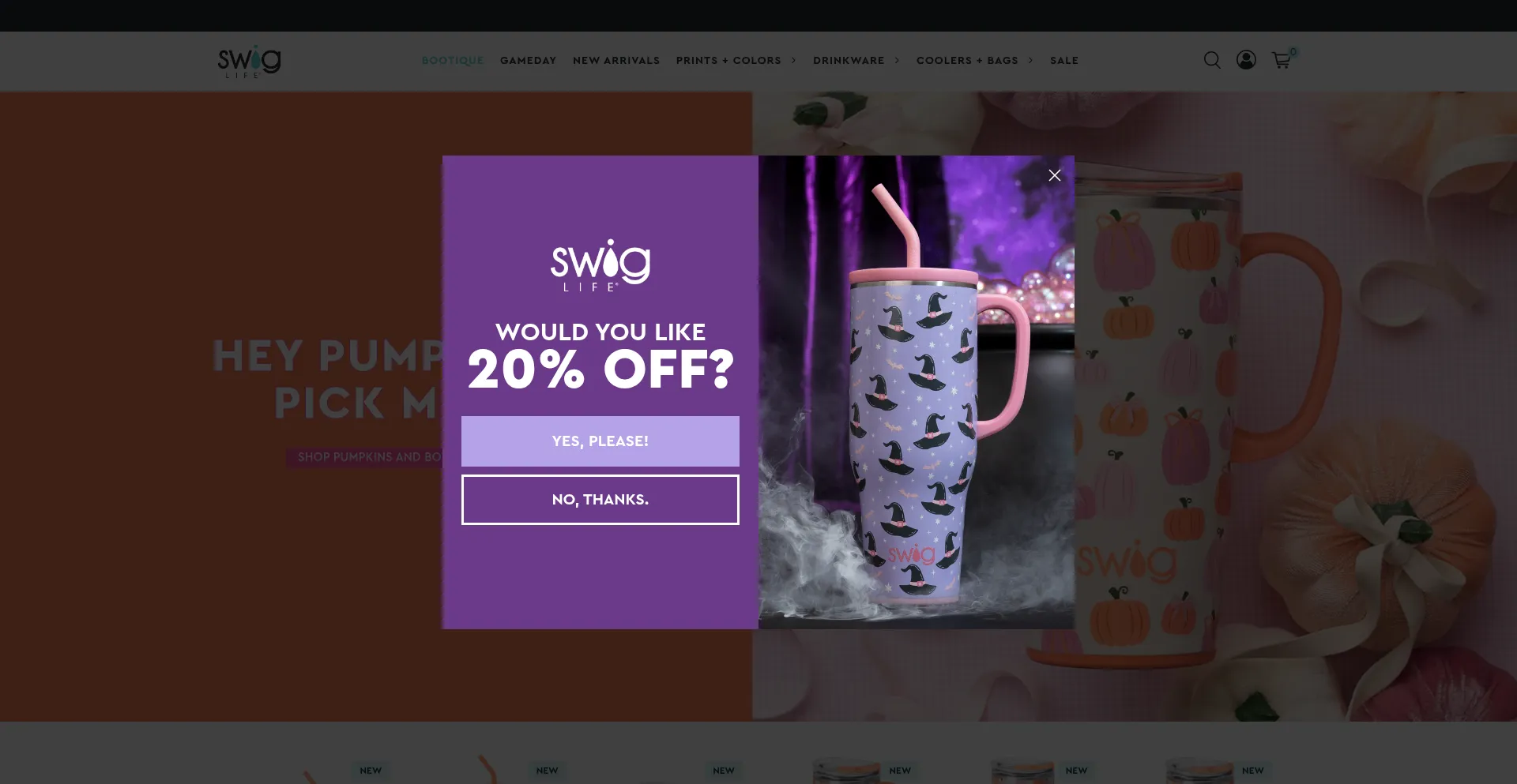 Website screenshot of Swiglife.com