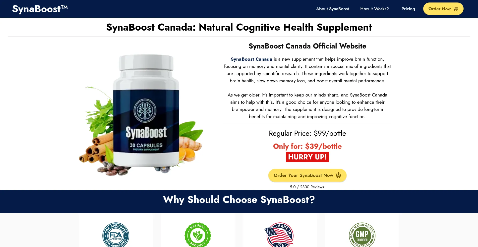 Website screenshot of Synaboost.ca