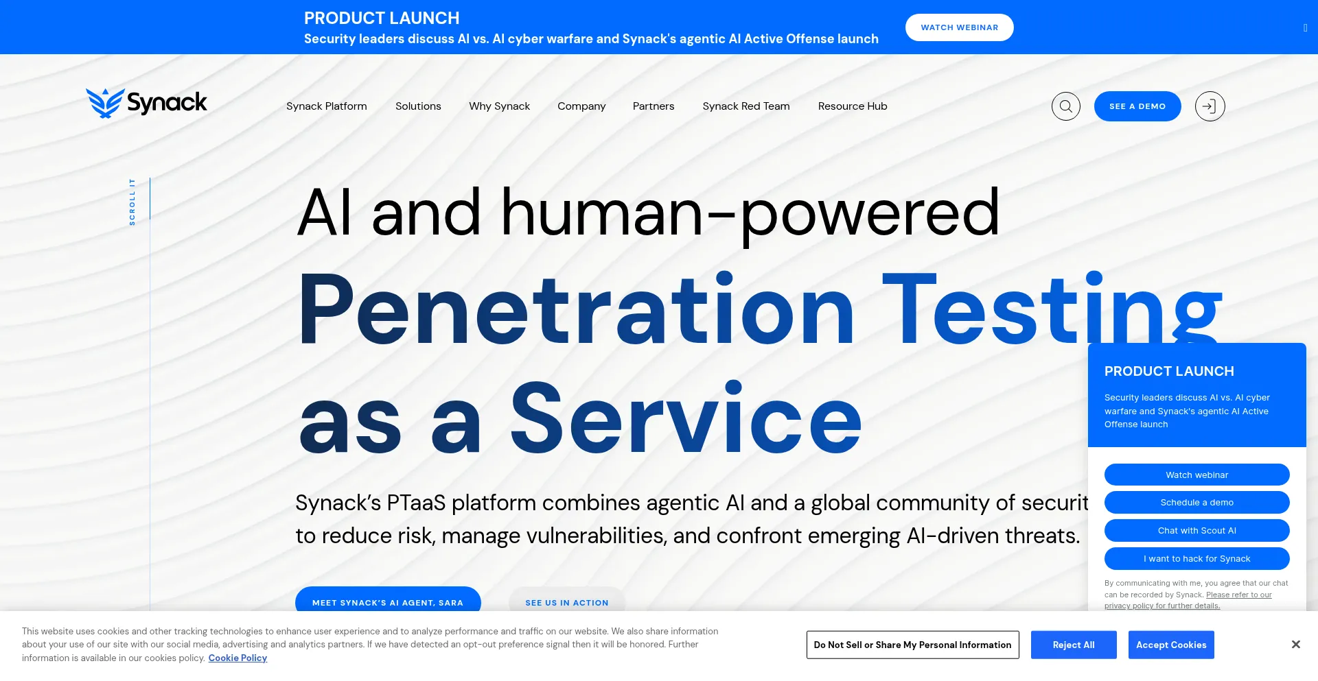 Website screenshot of Synack.com
