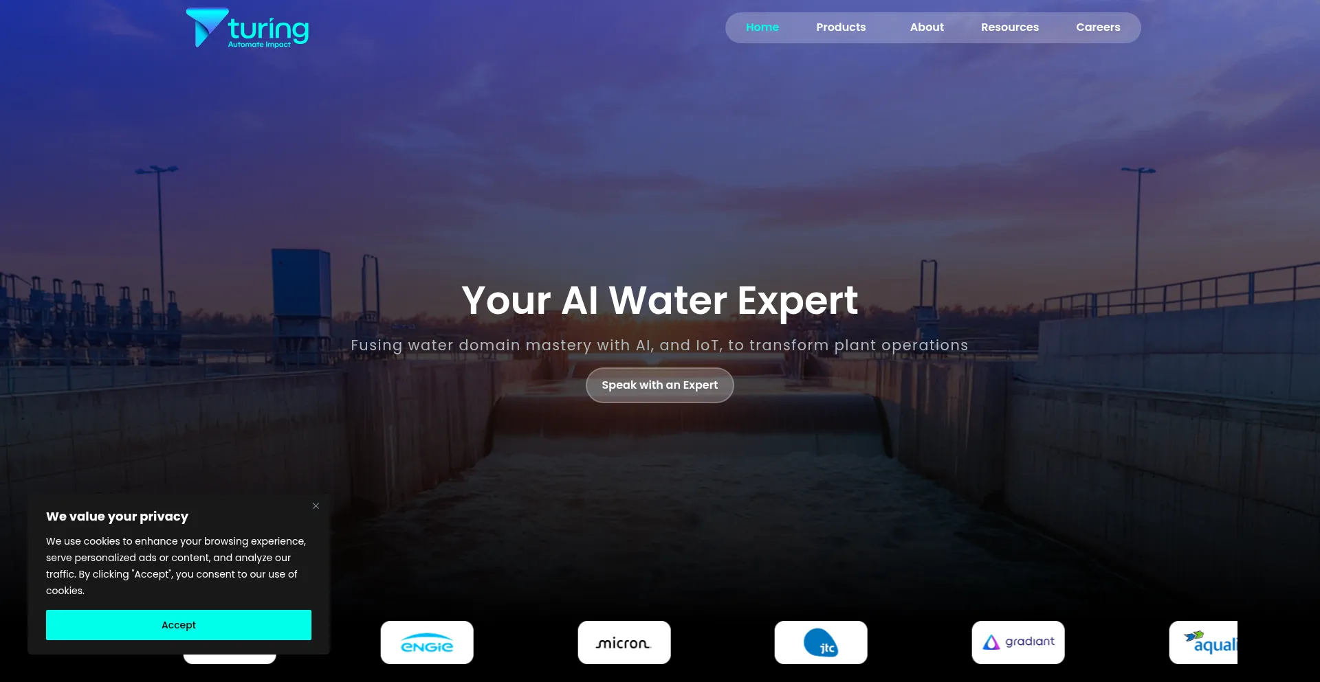 Synauta.com