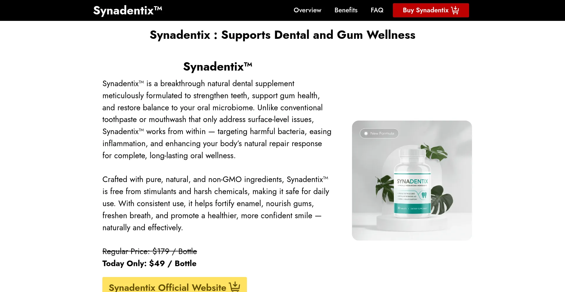 Syndentix.net