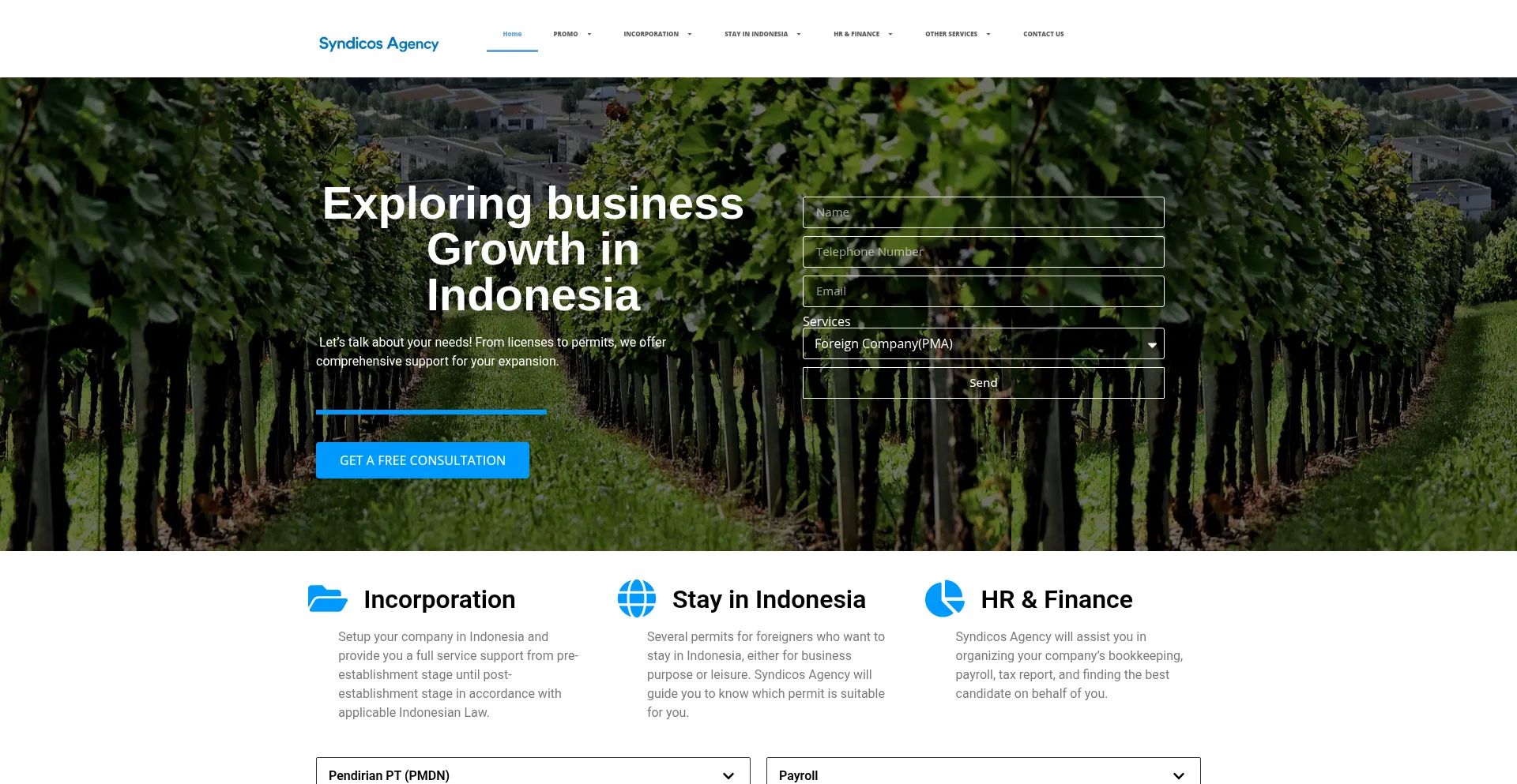 Syndicosagency.com
