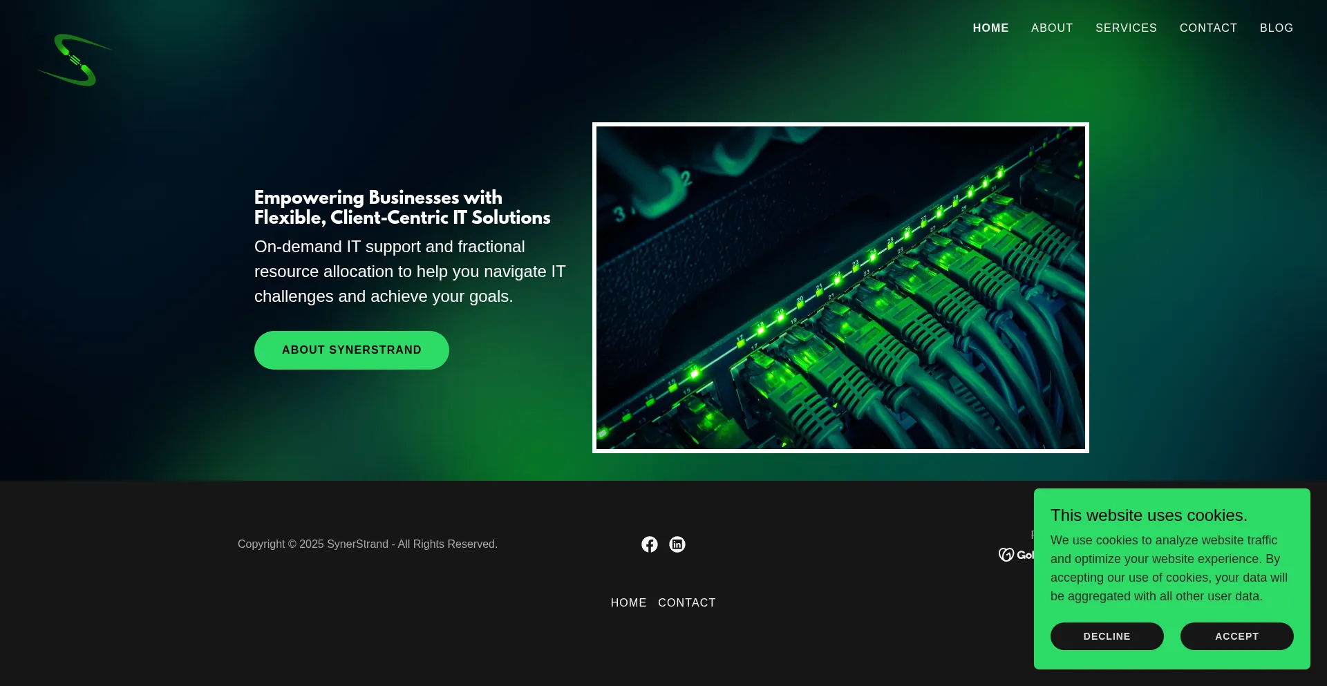 Website screenshot of Synerstrand.com