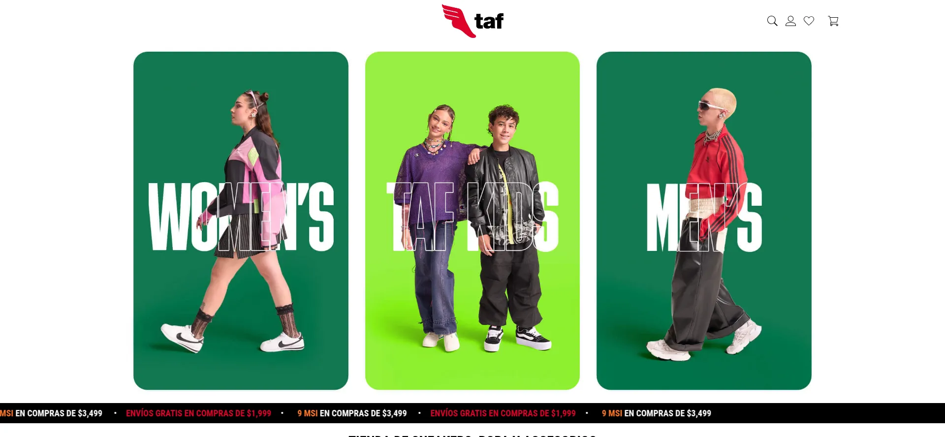 Taf.com.mx