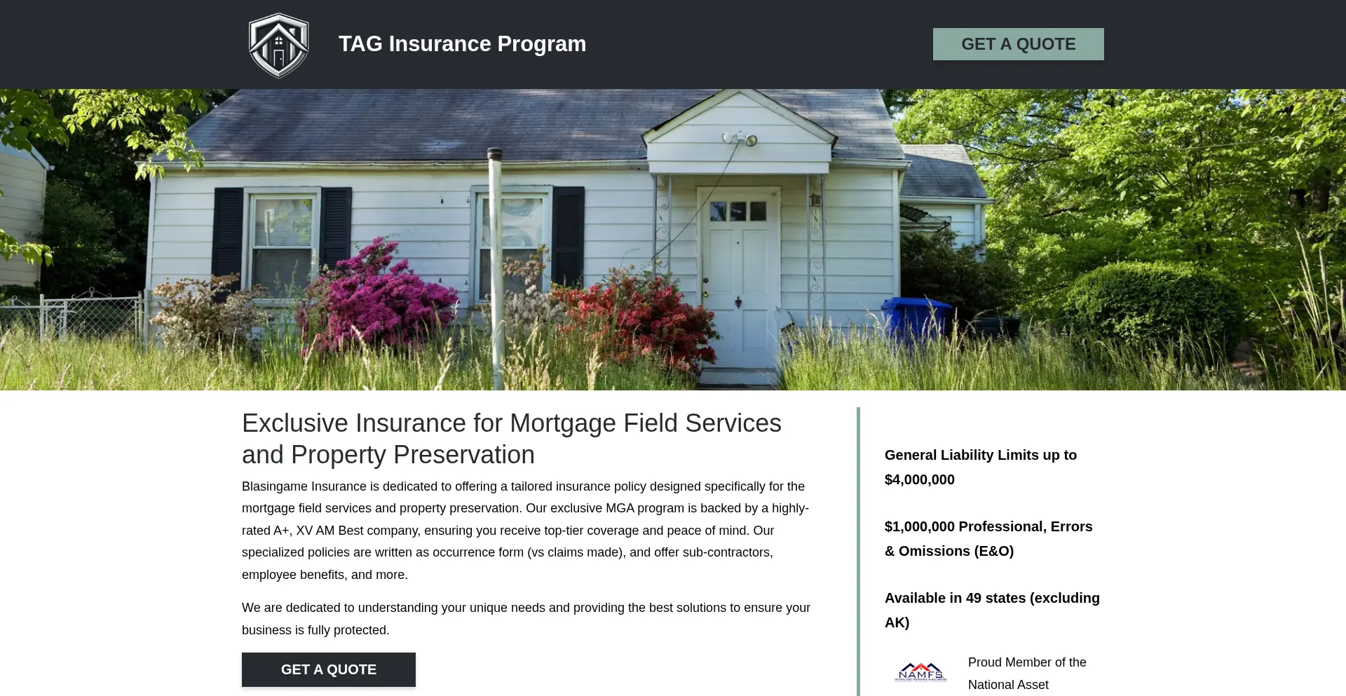 Taginsurancepro.com
